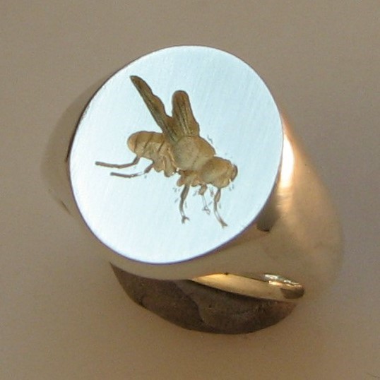 fly insect crest engraved signet ring
